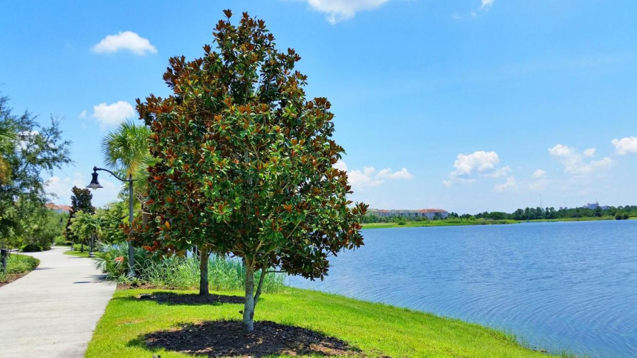 Lakeview Executive Penthouse Orlando Esterno foto